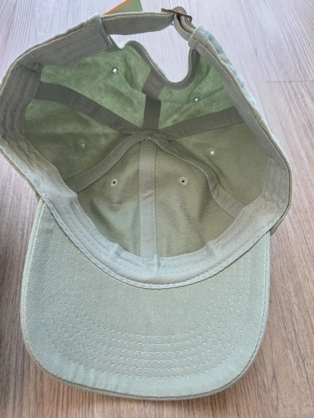 NWOT Caps: Arey Not Today Charcoal Gray & Biossance Sage Green Dad Hats Lot of 2